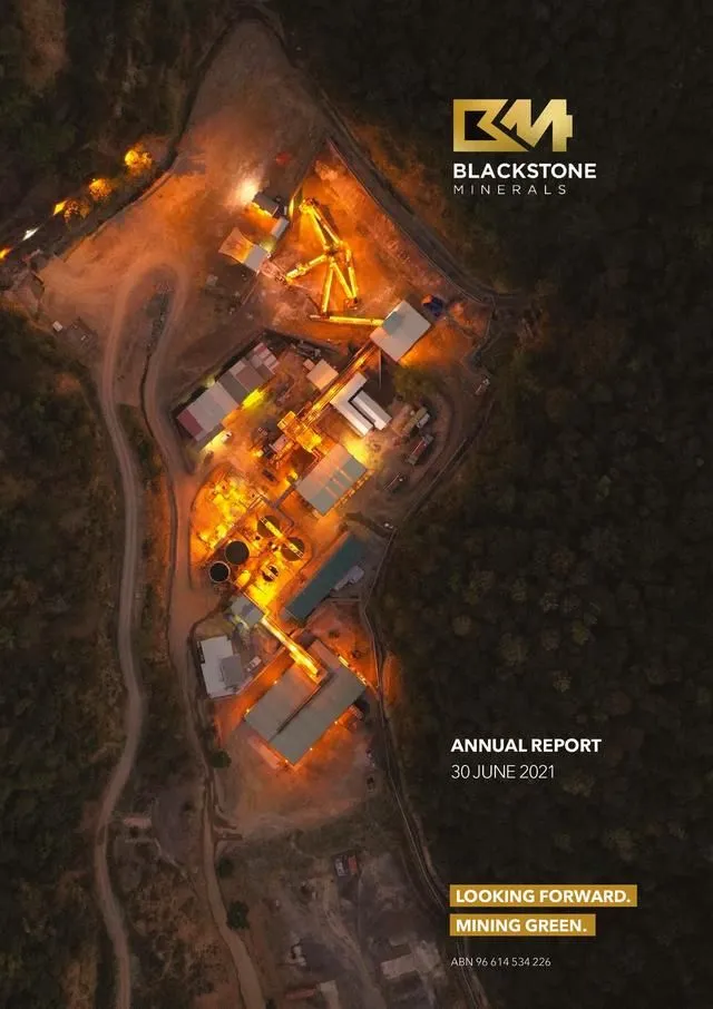 ANNUAL REPORT — LOOKING FORWARD.