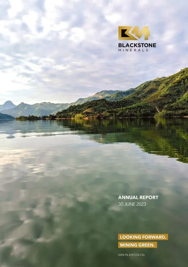 ANNUAL REPORT — LOOKING FORWARD.